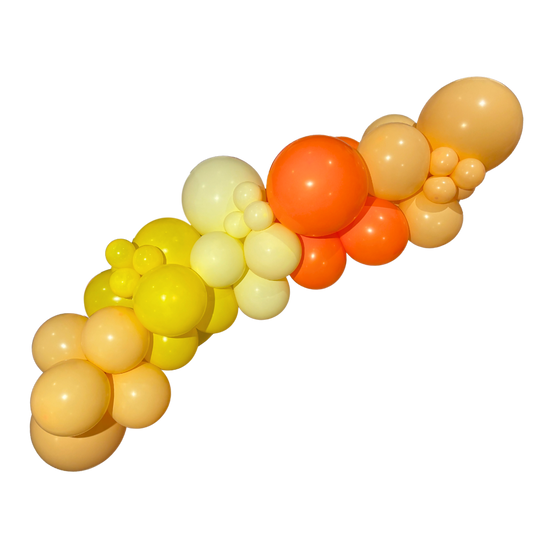 Sunny Balloon Garland