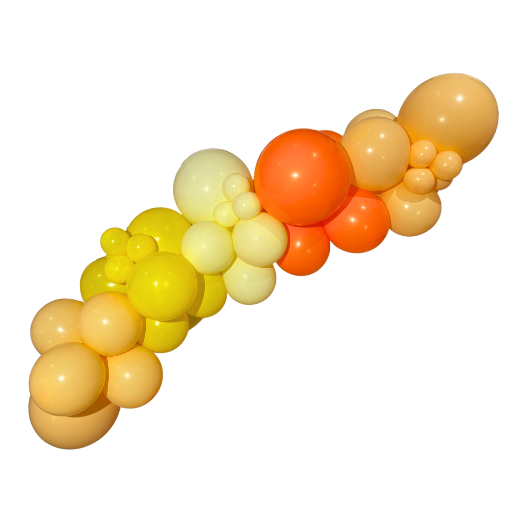 Sunny Balloon Garland
